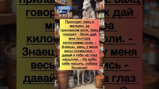 Анекдоты #анекдот #шутки #приколы #радость #юмор #смех