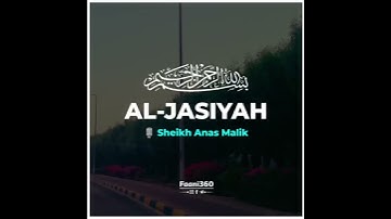 Surah e Jasiyah | 27, 28 سورة الجاثية آیةVoice : Qari Sheikh Anas Malik  قاری انس مالک #quran #allah