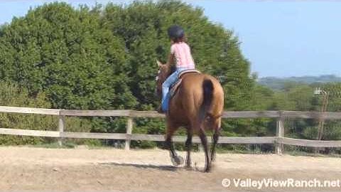 Singin   ***For info, price, etc., go to our website*** Valley View Ranch