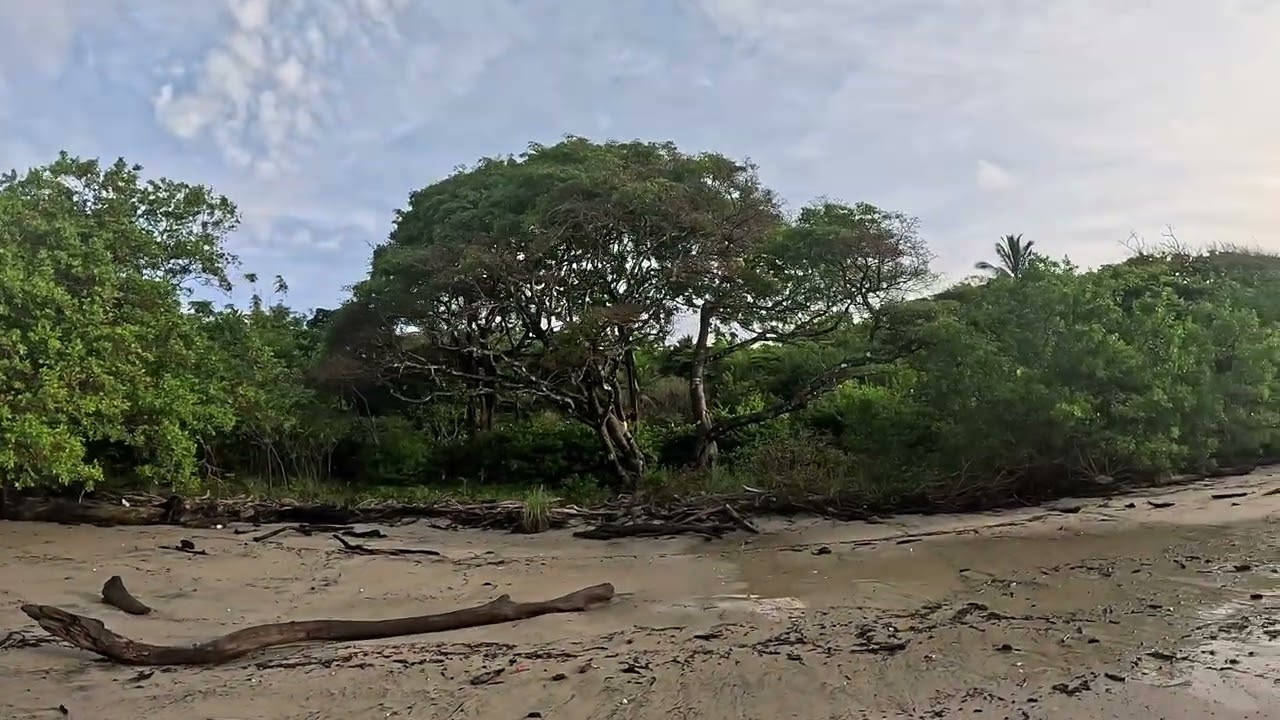 Nosara, Costa Rica (4 of 5) - Punta Pelada to Playa Guiones Village