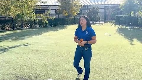 Adoption Live 11/7/2025