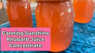Canning Sunshine Rhubarb Juice Concentrate  It’s Magical! #canning