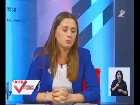 2TV.GE  დემოკრატიული მოძრაობა - ერთიანი საქართველო თამარ ზურაშვილი 08.09.2016