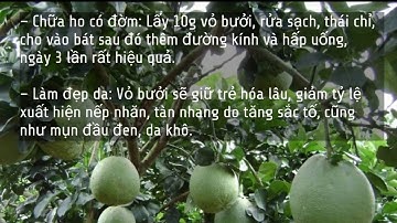 CÔNG DỤNG CỦA VỎ BƯỞI.