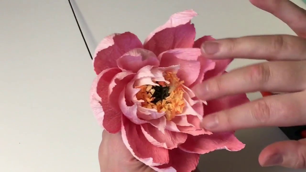 Crepe papir stor Lotus (øvede)