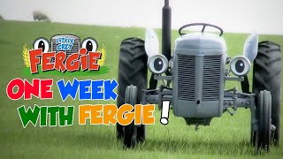 A Week with Fergie ! (Monday to Sunday) - Film | Little Grey Fergie | Gråtass