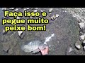 Um jeito fácil de pegar grandes peixes com material Ultra Leve! Pescaria.