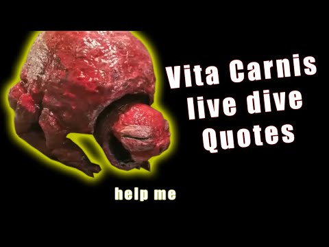 Vita Carnis Live Dive Quotes 😃🔥 | This Is Why People Fear Me (Reaction)