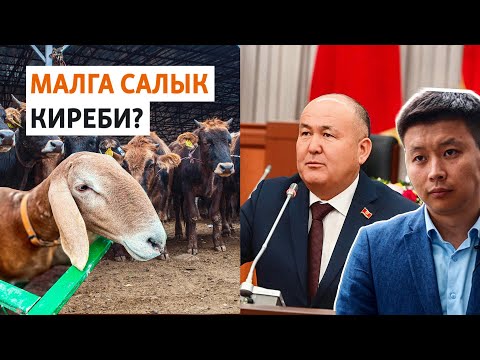 Video: Жер салыгын төлөөчүлөр болуп Салык салуу, төлөө шарттары, чегерүүлөрдүн суммасы