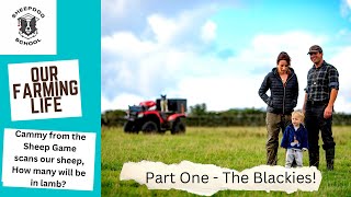 Our Farming Life brings you Scanning with Cammy Part One   The Blackies.