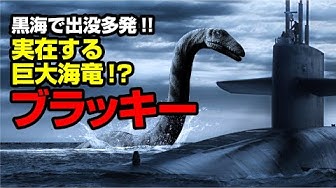 シーサーペント Youtube