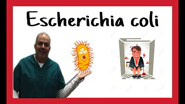 ¿Qué tipo de bacteria es la Escherichia coli?