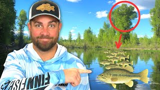 The Fishing Hack You Havent Heard Look For This Tree