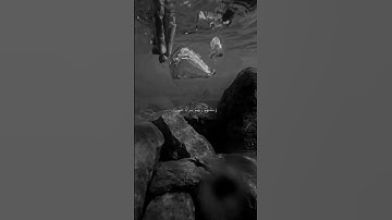 استمع القران الكريم ❤