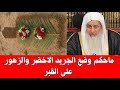 ماحكم وضع الجريد الاخضر والزهور على القبر الشيخ مصطفى العدوي