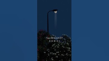 لا اله الا الله #لااله_الا_الله_محمد_رسول_الله #اتقوا_الله #قران_كريم #تلاوة_خاشعة #فلسطين