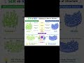 class 9 science difference between smooth and rough endoplasmic reticulum