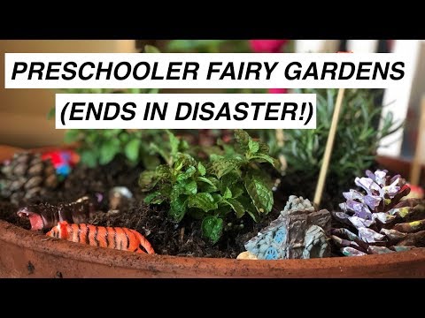 FAIRY GARDENS END IN DISASTER! (Tu Bishvat Craft COLLAB WITH ERICA TERRY)