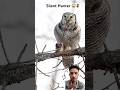 “Owl Ka Silent Attack 😳 | Nature Ka Deadly Hunter! #shorts #Viral @natureism3tal #ytshorts #animal