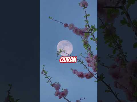 عندما يبدع القارئ محمد ديبيروف في محاكاة محمد أيوب ماتيسر من سورة ال عمران بدون مؤثرات صوتيه