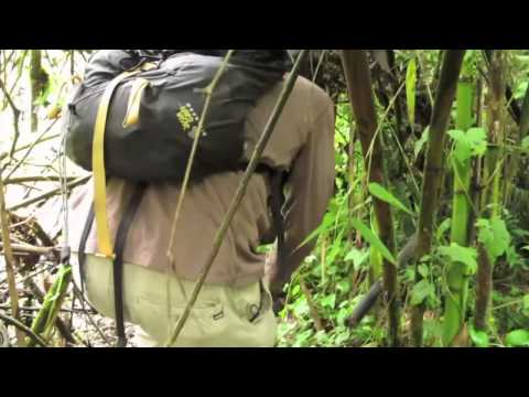 Safari 2 Gorilla Tours Video