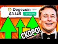 ИЛОН МАСК DOGECOIN ЭТО НЕ ШУТКА!!! СТОИМОСТЬ DOGE ДОСТИГНЕТ 3$ В НОВОМ БЫЧЬЕМ ЦИКЛЕ 2023 ПРОГНОЗ