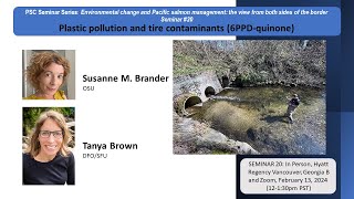 Seminar 20: Plastic Pollution and Tire Contaminants (6PPD-Quinone)