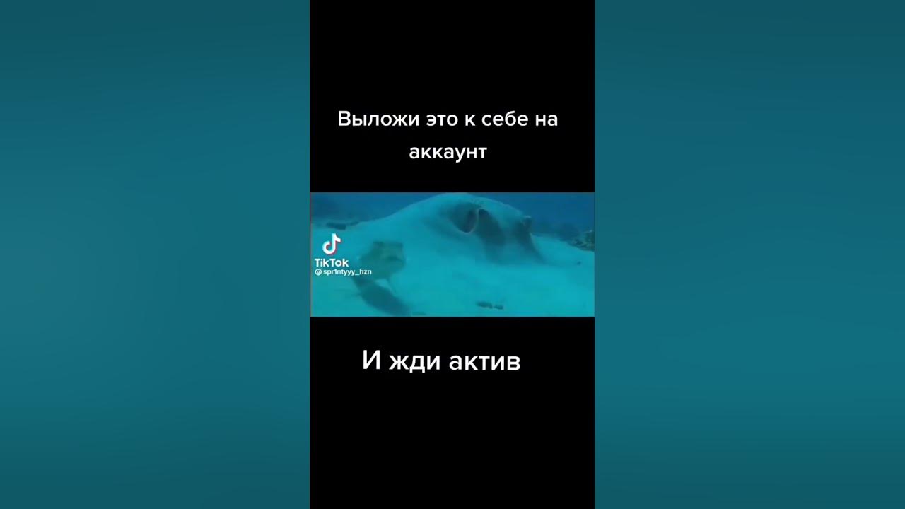 жду #жду #ок - YouTube