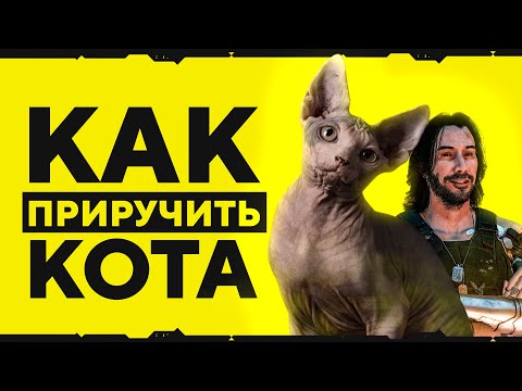 CYBERPUNK 2077 – КАК ПРИРУЧИТЬ КОТА? СЕКРЕТНЫЙ ПИТОМЕЦ