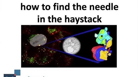 ACoM2021 Prof Paul Verkade: Tissue CLEM, how to find the needle in the haystack.