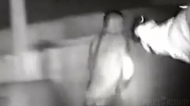 Bodycam Shows Officer Shot While Trying To Make Ar...