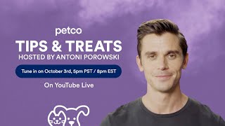 Tips & Treats | Petco Live