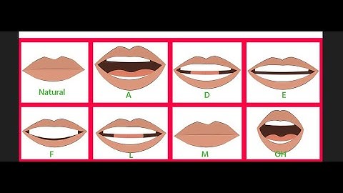 Adobe Animate CC Bangla Tutorial 2025 | Character Design Part -1 | 2D Animation | by MT Gallery