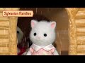 What to do on a rainy day  compilation  sylvanian families