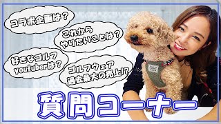 なみの質問コーナー！インスタグラムの募集した質問に答えてみた！