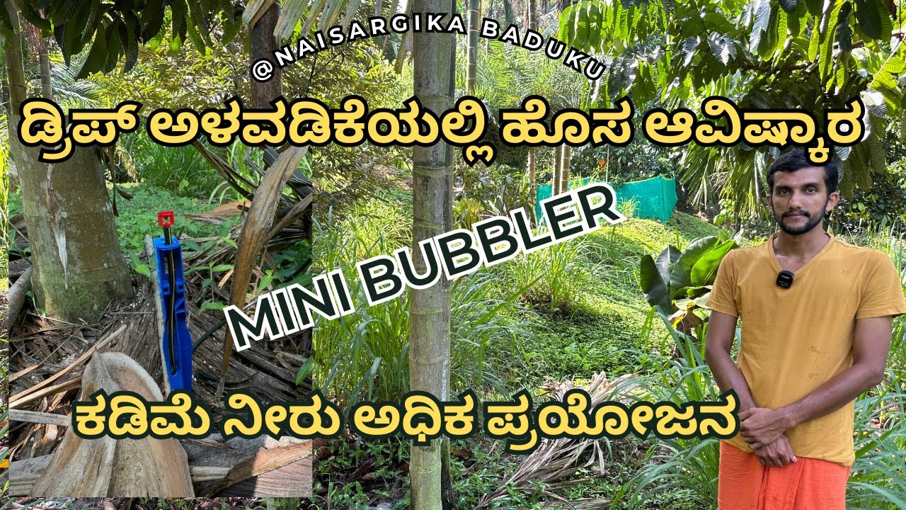 ಡ್ರಿಪ್ ಅಳವಡಿಕೆಯಲ್ಲಿ ಹೊಸ ಆವಿಷ್ಕಾರ | ಕಡಿಮೆ ನೀರು ಅಧಿಕ ಪ್ರಯೋಜನ | Bubbler Drip irrigation |🇮🇳💛❤️