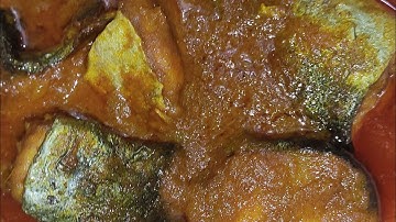 এমন একটি পাঙ্গাশ মাছের ভুনা থাকলে আর কিছু লাগবে না।। Pangas Fish Curry Recipe