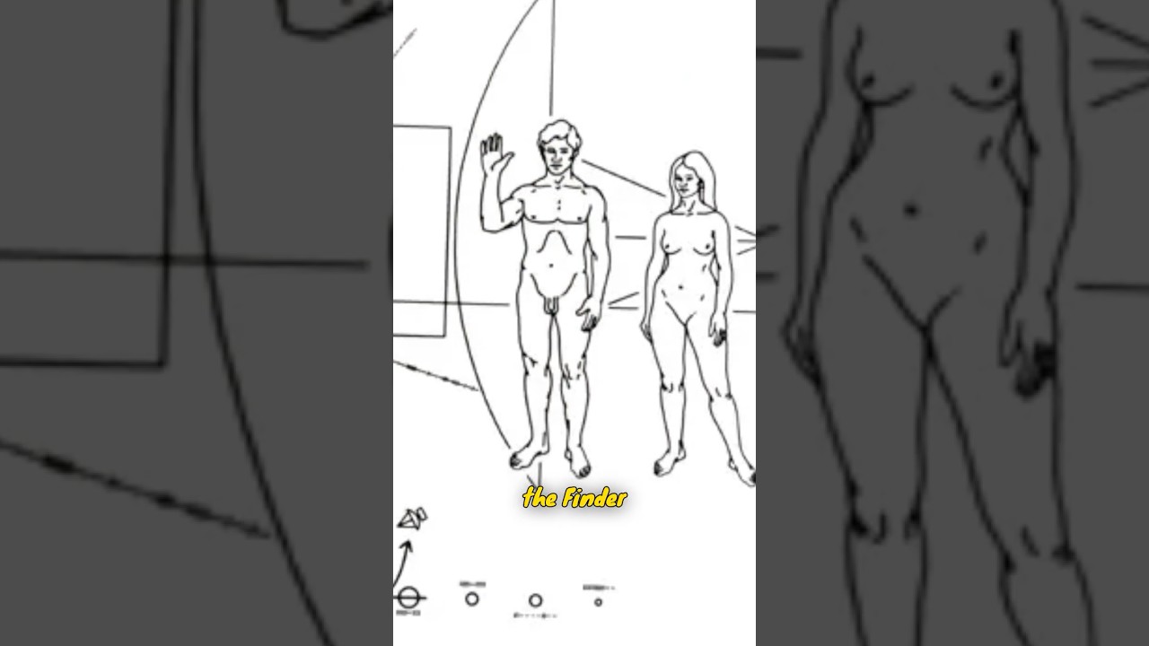 Message Into Space... 