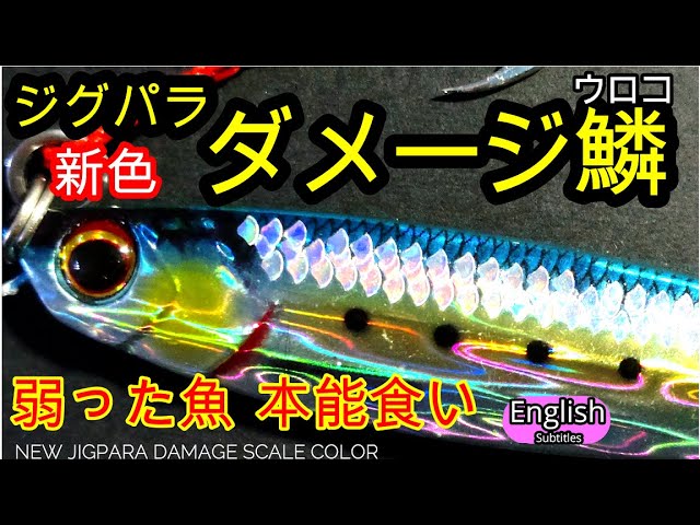 Jigpara New Color Damage Scales Shore Jigging Like Weakened Bait Fish Stimulate Your Instinct Youtube