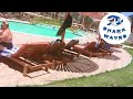 فندق الكارما بيتش نوبيا سابقا Elkarma Beach Resort And Aqua Park 