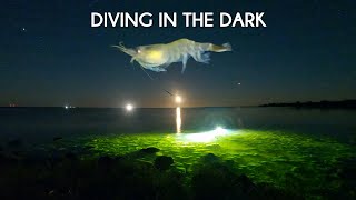Diving in the dark | Short episode | Night free diving on Gotland
