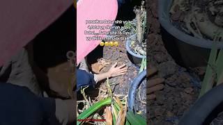 Removing A Cursed Object That Has Been In The House For 16 Yearstrending shorts horror creep
