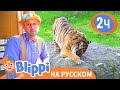 Блиппи идёт в зоопарк Изучай этот мир вместе с Блиппи Обучающие видео для детей