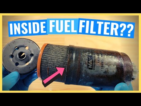 Diesel Fuel Filter