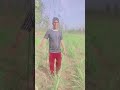 deewana.punch.lega.tera.naam.pta#beutifull song#short#video