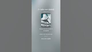 А в небе вновь шахеды