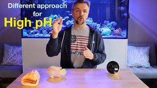 Different way to raise your aquarium pH