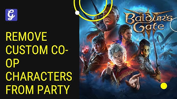 Can You Remove Custom Co-Op Characters From Party Baldur