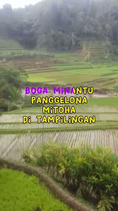 Hayang nyatu eweuh kejona..