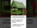 “Young Creator Builds a Beautiful Leaf Hut by Hand | Incredible Nature Craft and Handmade Design”